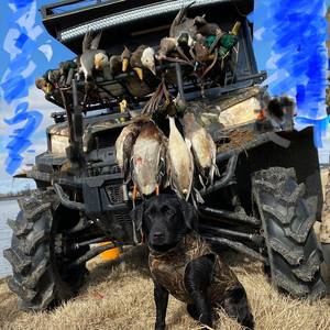 Meet your Posher, David